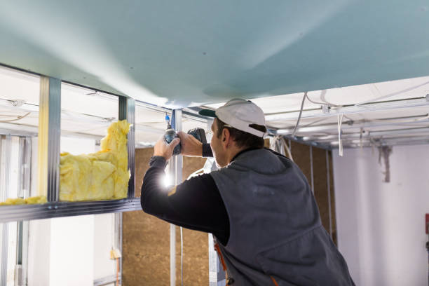 Best Blown-in Insulation  in Havelock, NC