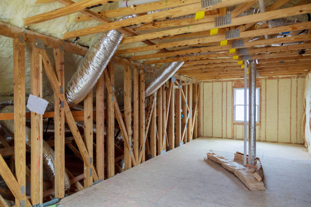 Best Insulation Contractors for Homes  in Havelock, NC