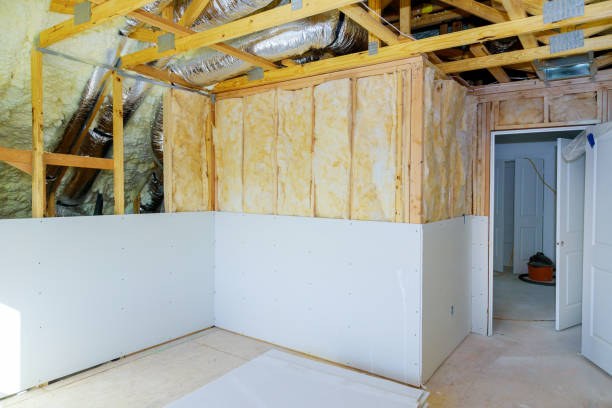 Best Insulation Repair Services  in Havelock, NC