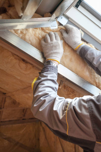 Best Wall Insulation Contractor  in Havelock, NC