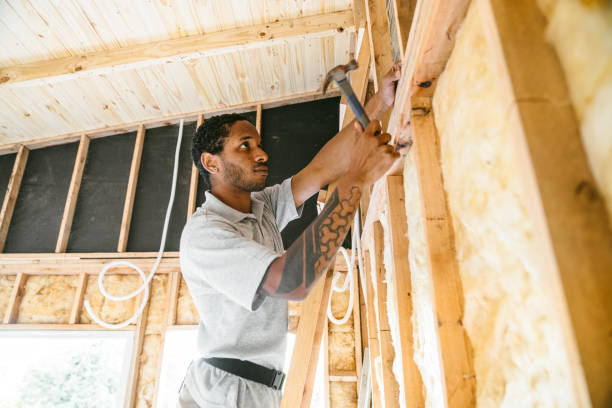 Best Cellulose Insulation  in Havelock, NC