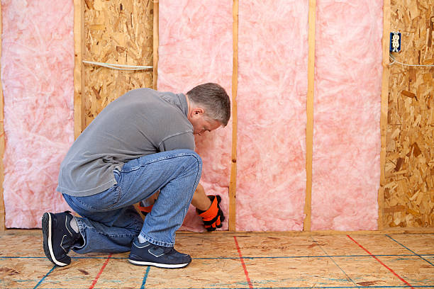 Best Professional Insulation Contractor  in Havelock, NC