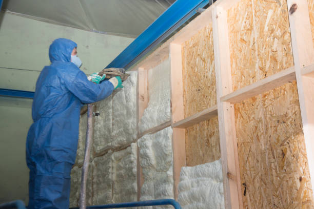 Best Crawl Space Insulation  in Havelock, NC