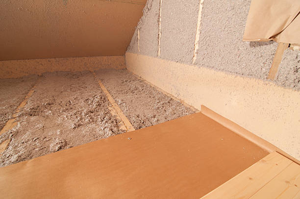 Best Insulation Replacement Services  in Havelock, NC